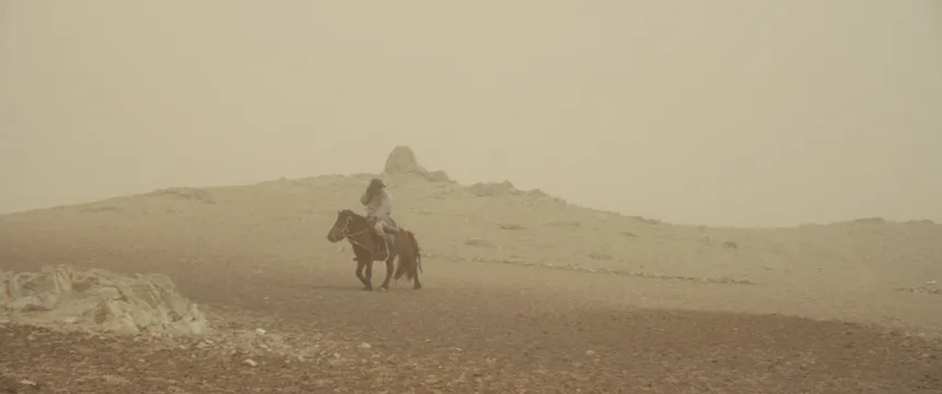 Imagen de The Wolves always come at Night