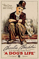 poster of movie Vida de perro