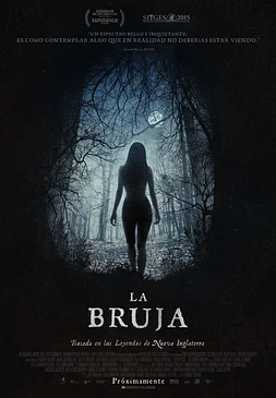 poster of movie La Bruja