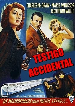 poster of movie Testigo Accidental