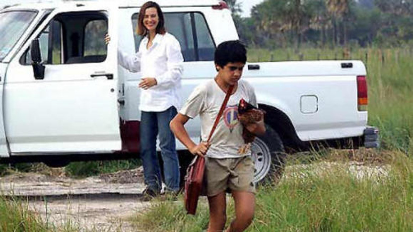 Imagen de Nordeste