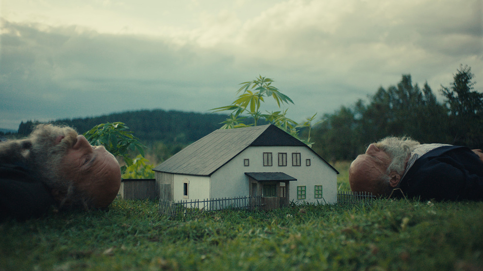 Imagen de Better go Mad in the Wild