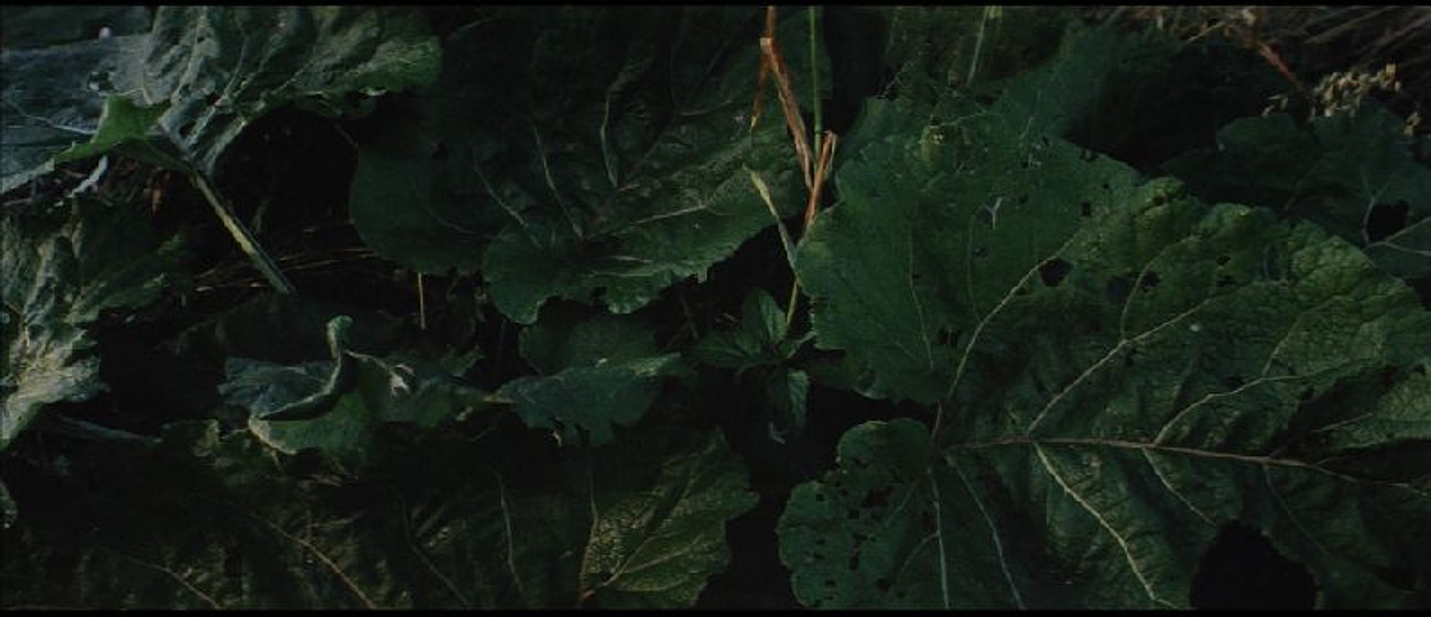 Imagen de Solaris