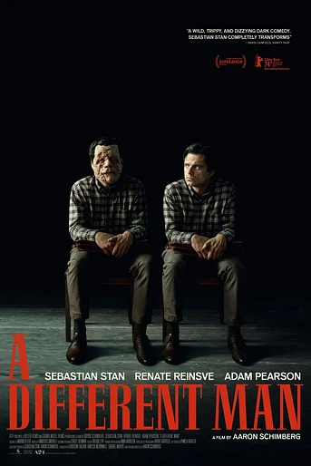 Poster de A Different Man