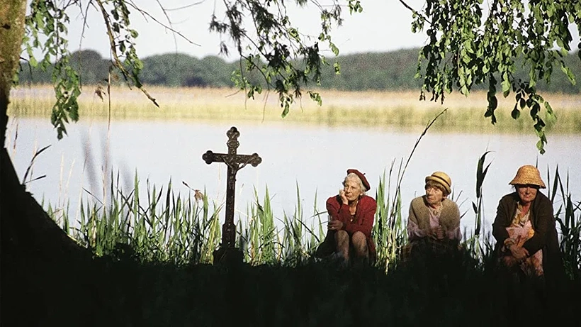 Imagen de Now or Never