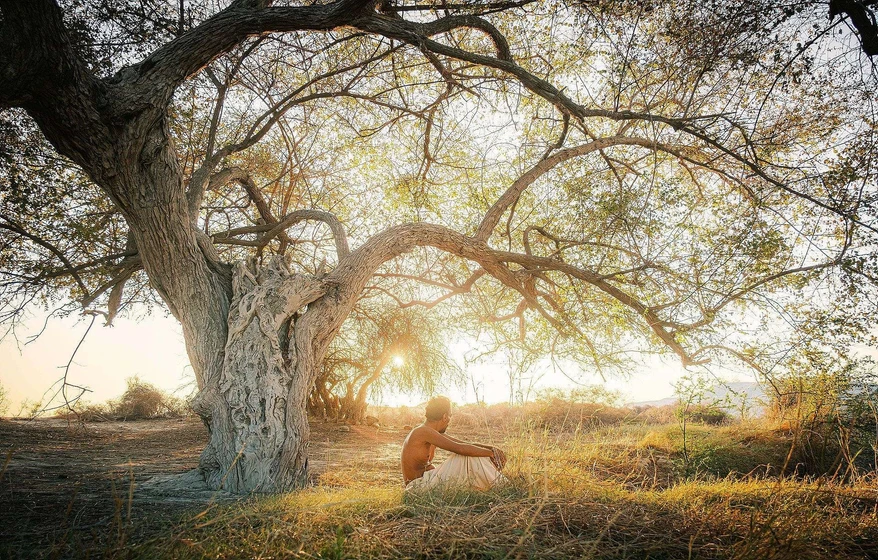 Imagen de midday-meal