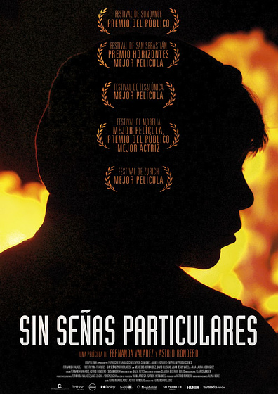 Imagen de Sin Señas particulares (Cartel español)