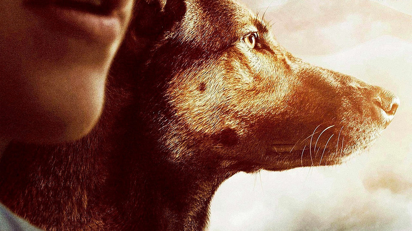 Imagen de Max