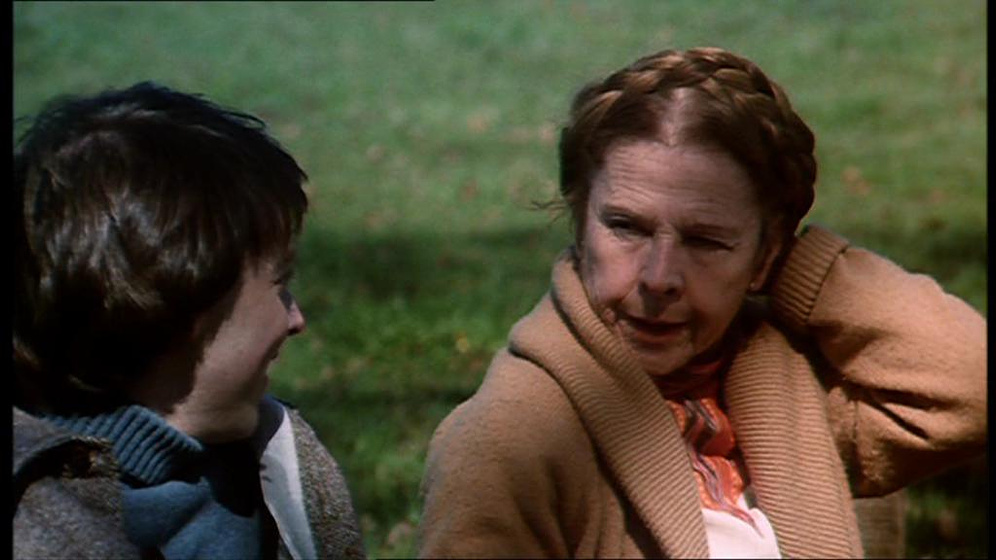 Imagen de Harold y Maude