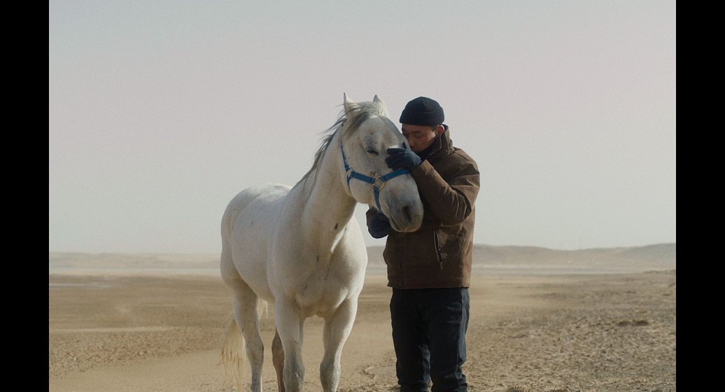 Saina en To Kill a Mongolian Horse