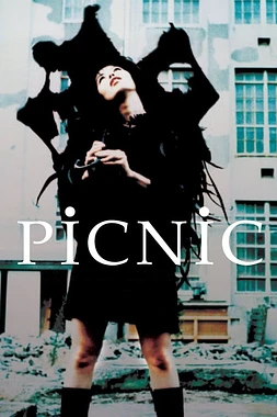 poster of movie Picnic
