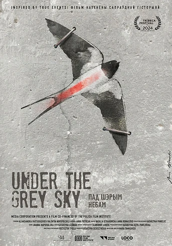 Poster de Under the Grey Sky