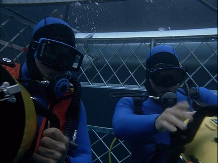 Imagen de Terror en el Mar