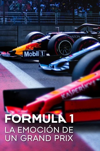 Poster de Formula 1: La Emoción de un Grand Prix