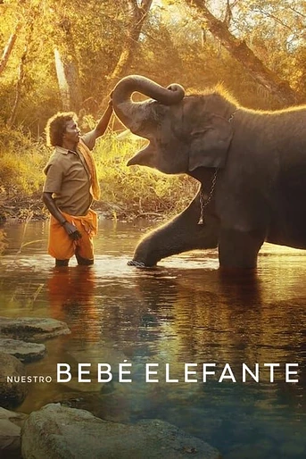 Poster de Nuestro Bebé Elefante