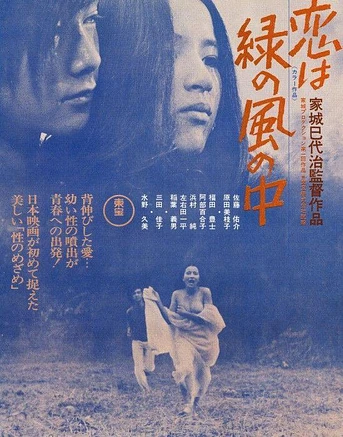 Poster de Love Is in the Green Wind