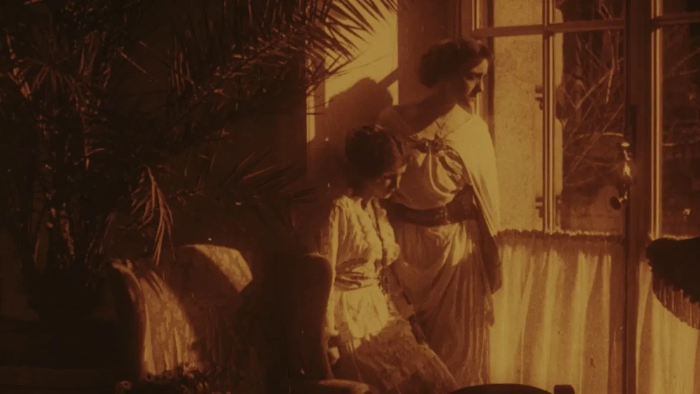 Imagen de flor-del-mal