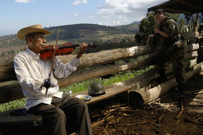 Imagen de El Violín