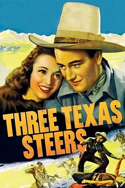poster of movie Three Texas Steers