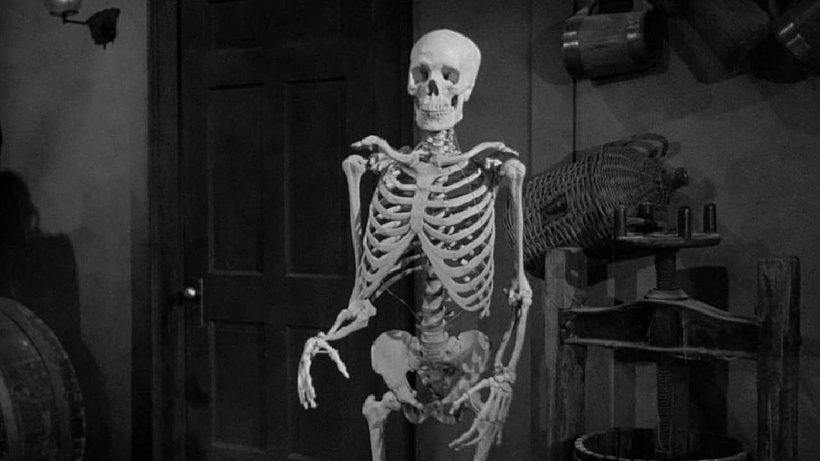Imagen de The Lost Skeleton of Cadavra