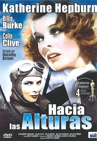 Poster de Hacia las alturas