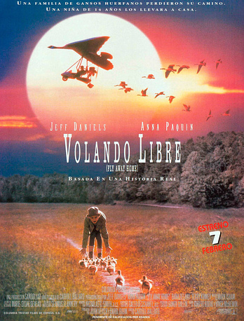 poster of content Volando libre
