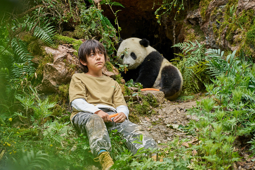 Imagen de Moon, mi Amigo Panda