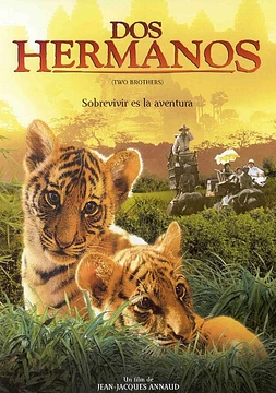 poster of movie Dos Hermanos