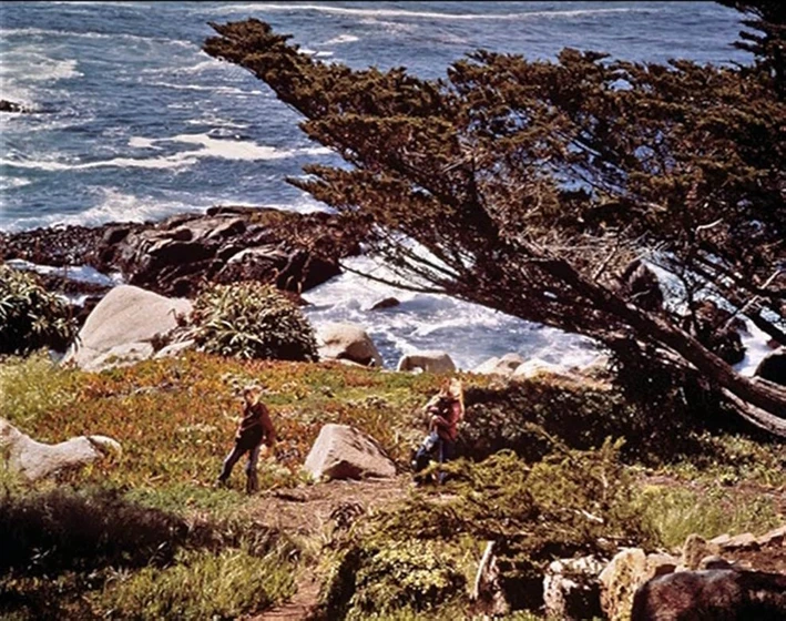 Imagen de la-montana-embrujada-1975