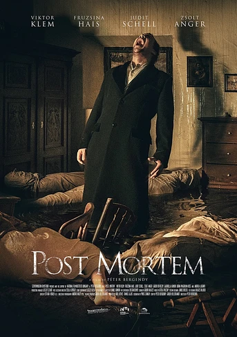 Poster de Post Mortem