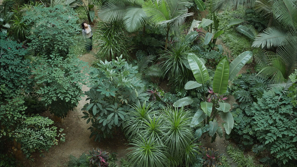 Imagen de The Fruit