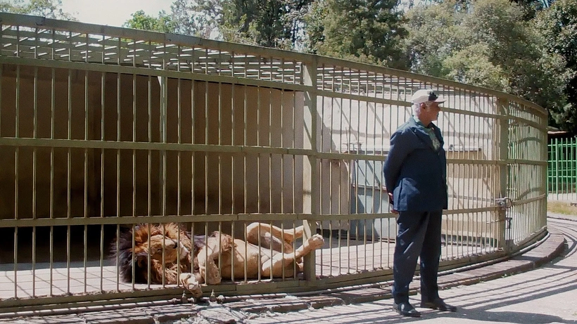 Imagen de Wax & Gold