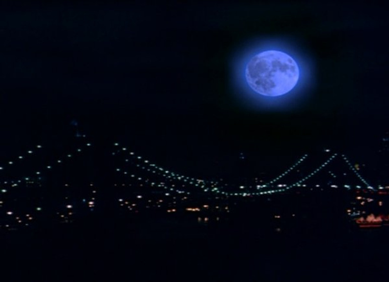 Imagen de Lobos de Wall Street