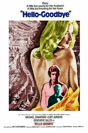 Poster de Hello-Goodbye