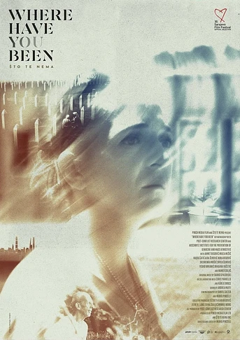 Poster de Where have you been