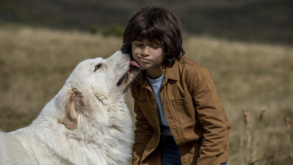 Robinson Mensah-Rouanet en Belle y Sebastián: La Nueva Generación