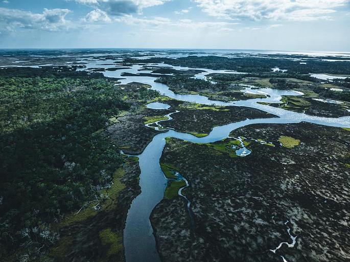 Imagen de Carbono Azul: El Poder Oculto de la Naturaleza
