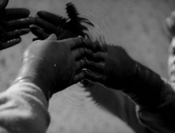 Imagen de orfeo