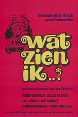 poster of movie Delicias Holandesas