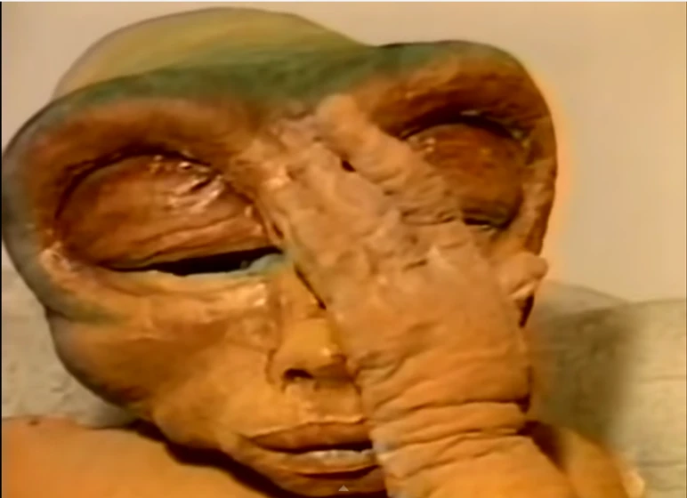 Imagen de homoti