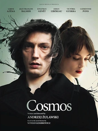 Poster de Cosmos