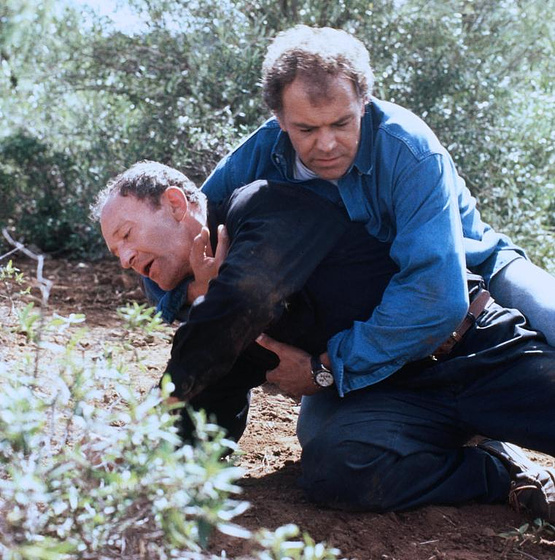 Imagen de Teneriffa - Tag der Rache