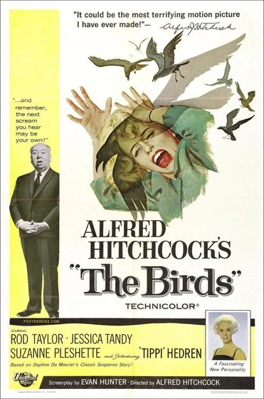 Imagen de los-pajaros (Poster)