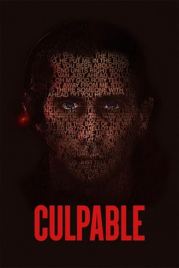 poster of movie Culpable