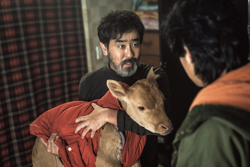 Seung-Ryong Ryu en cattle-run