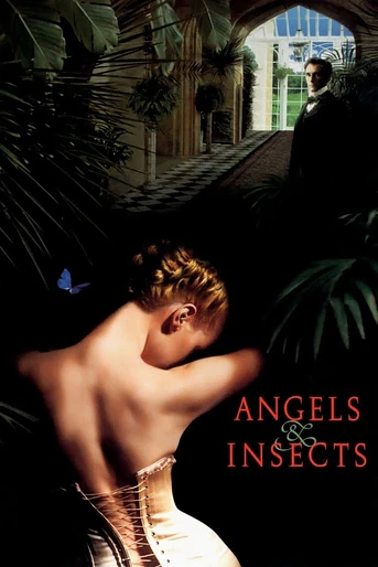 Poster de Ángeles e Insectos