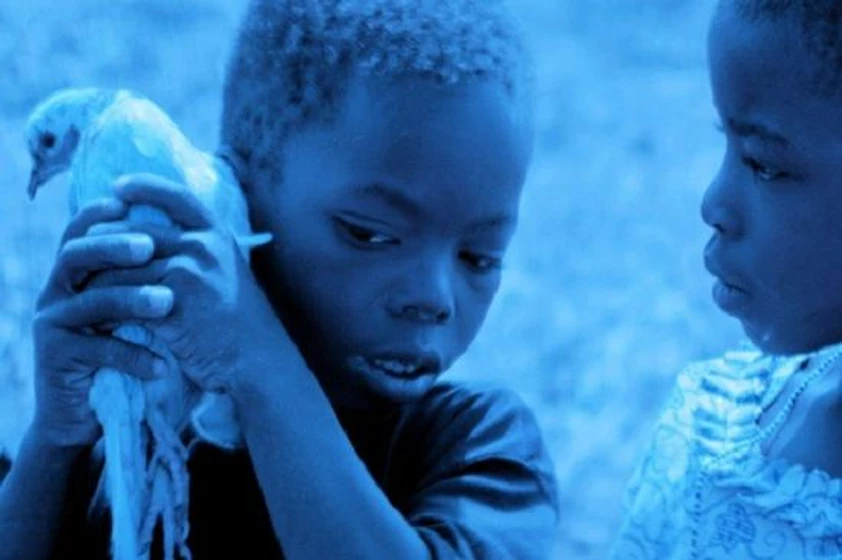 Imagen de blue-bird