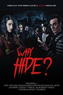 poster of movie Why Hide?