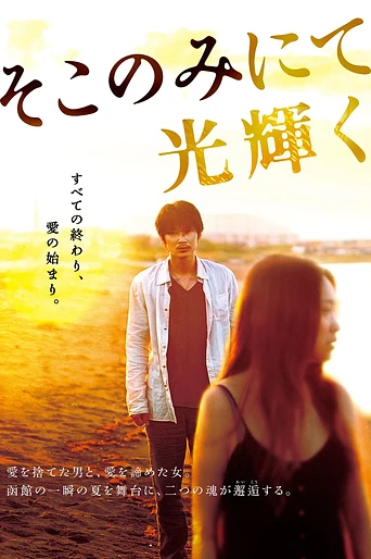 Poster de The Light Shines Only There