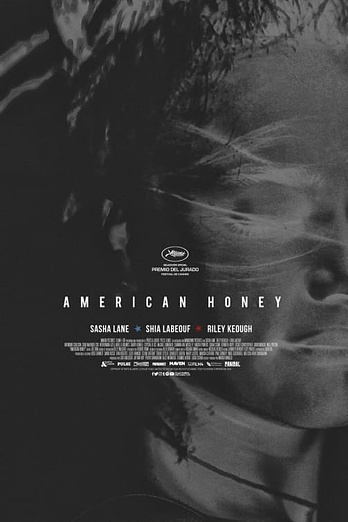 poster of content American Honey